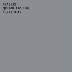 #8A8E92 - Oslo Gray Color Image